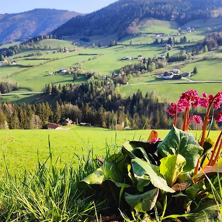 Holiday home Schaeferhuette Krispl