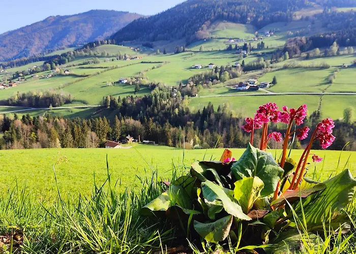 Feriehus Schaeferhuette Krispl